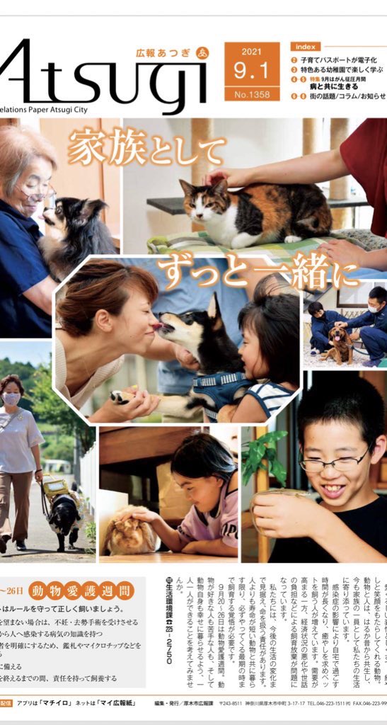 ご当地ナンバープレート