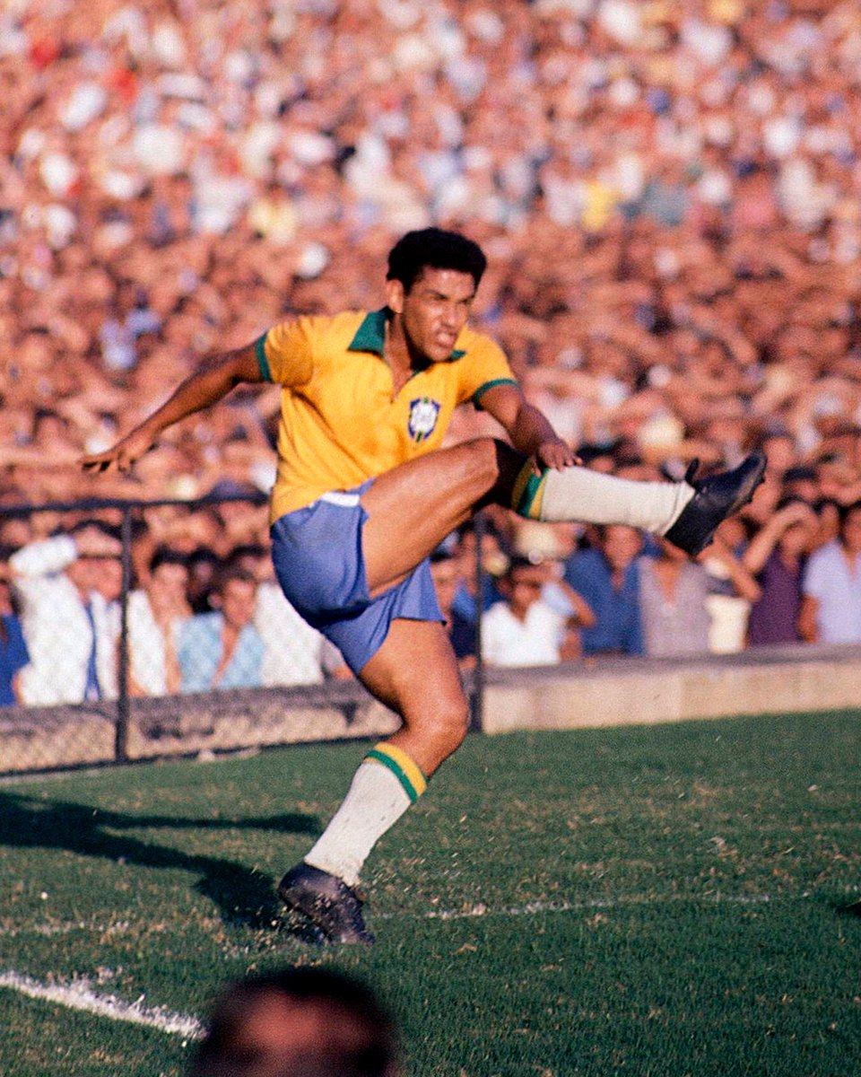 museuselecao's tweet photo. "Quando ele estava lá, o campo era um picadeiro de circo; a bola, um bicho amestrado; a partida, um convite à festa"

Eduardo Galeano entendeu Garrincha ⚽️🎪

📸 @FIFAWorldCup https://t.co/Jh24Yoor8t