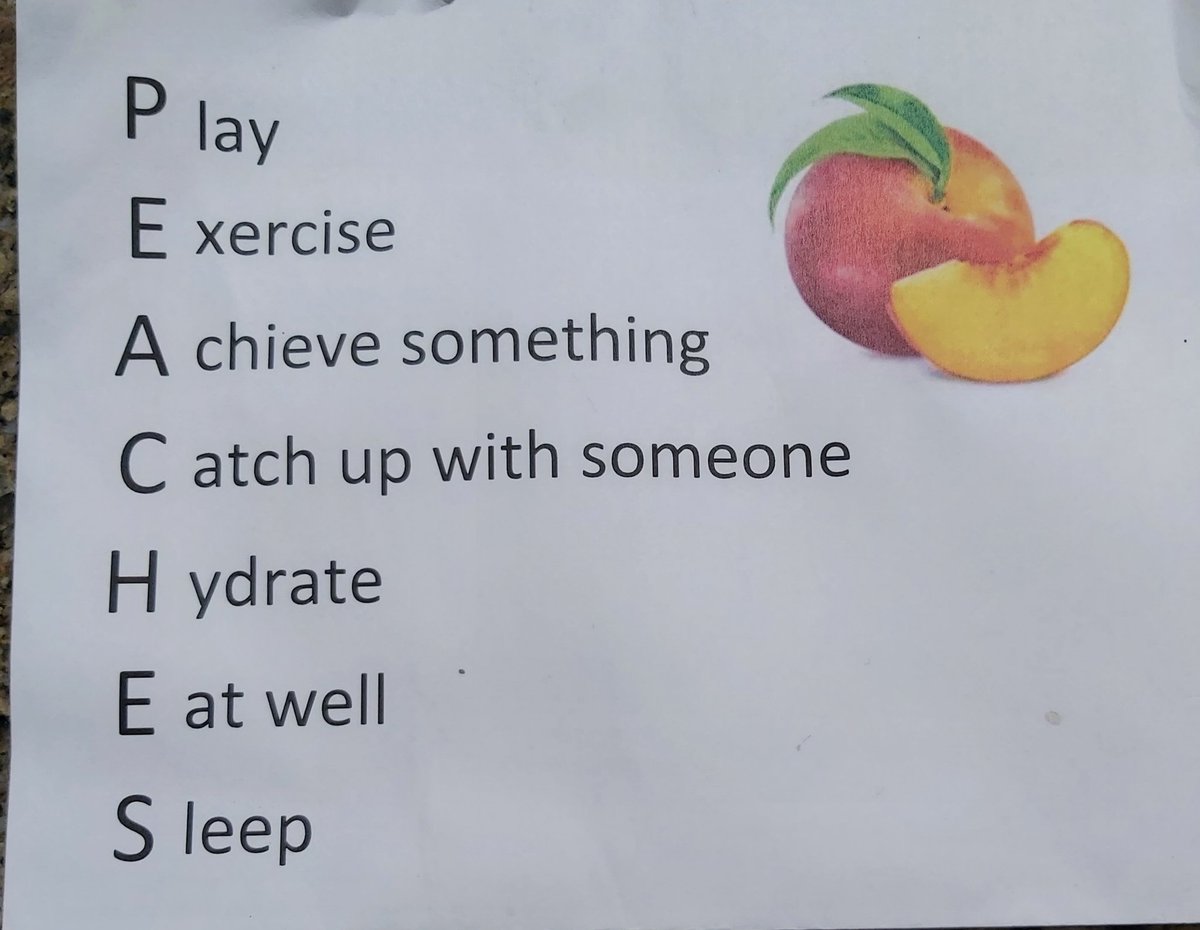 LizShepston's tweet photo. @AbbyOtago tweeted this last year and it works just as well this lockdown. It's back on the fridge. 🍊🍊#COVID19nz #lockdownnz #WeveGotThisNz #GoAuckland https://t.co/nnHiFH9A5a