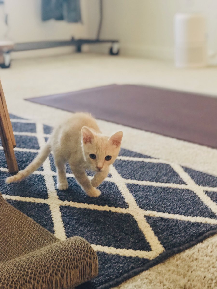 Feeling recharged…