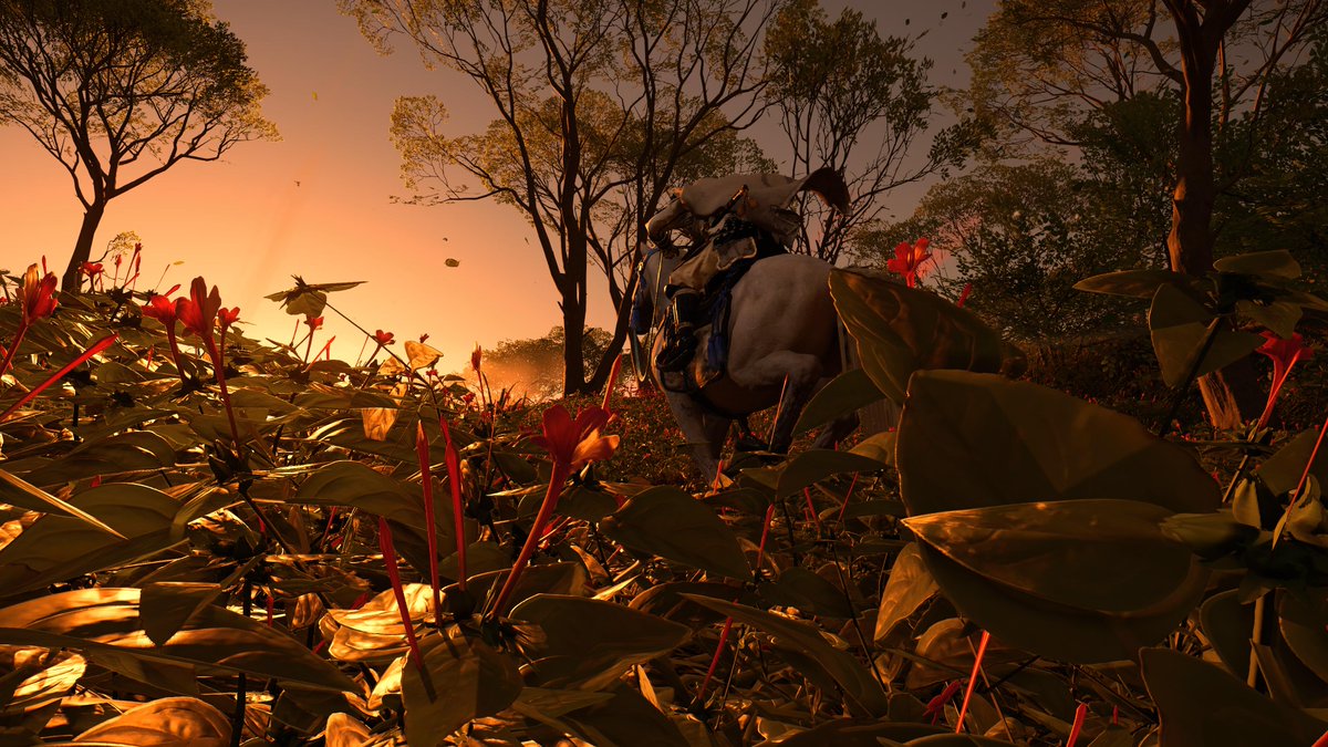 30_fix's tweet photo. #PS5Share, #GhostofTsushima https://t.co/dzxlTlM7GS