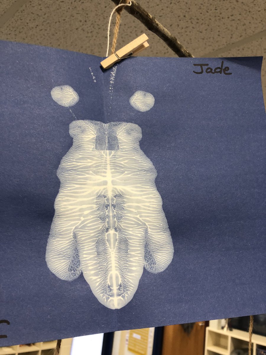 It was just a cloud in the sky! @Killian_STEAM @PaigeMaloneKES <a href="/franklinscsu/">Stacey Franklin</a> @gore_mgore