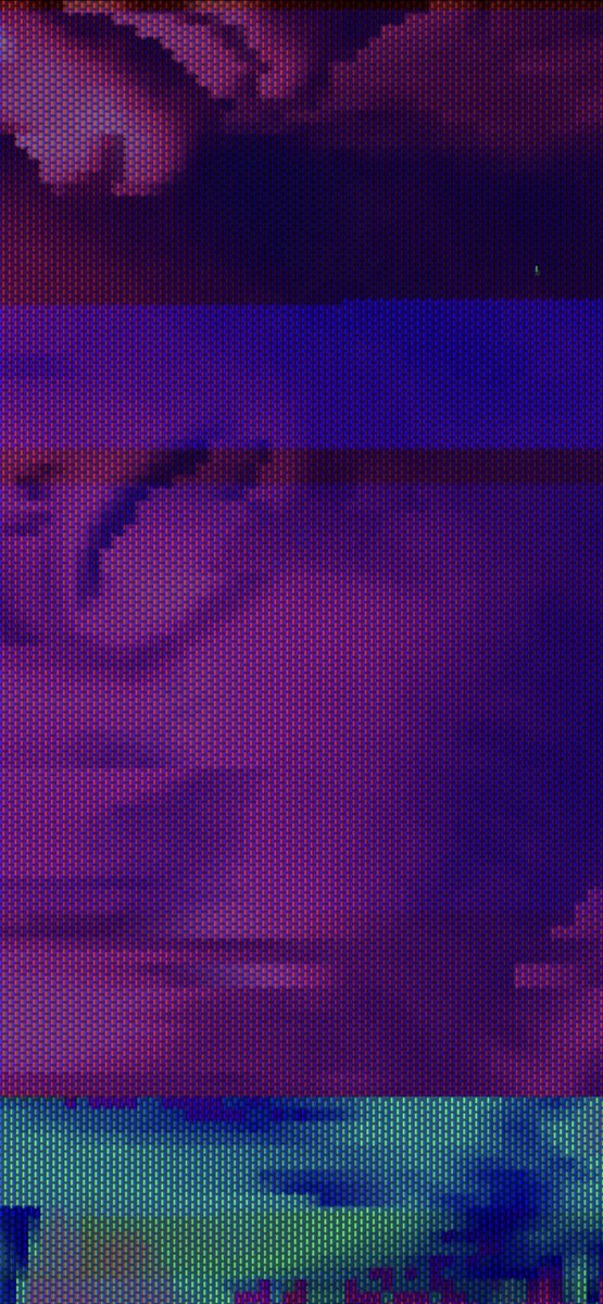 nicgirard_'s tweet photo. 🟪🟨 https://t.co/rTi437QJNw