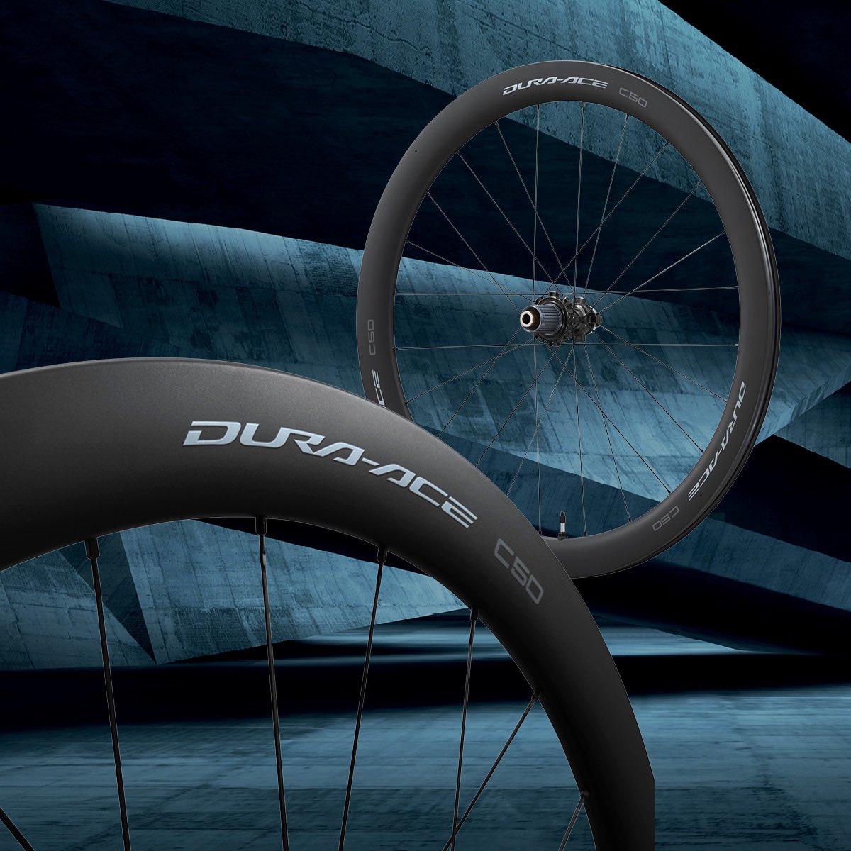 Team BridgeLane tweet media