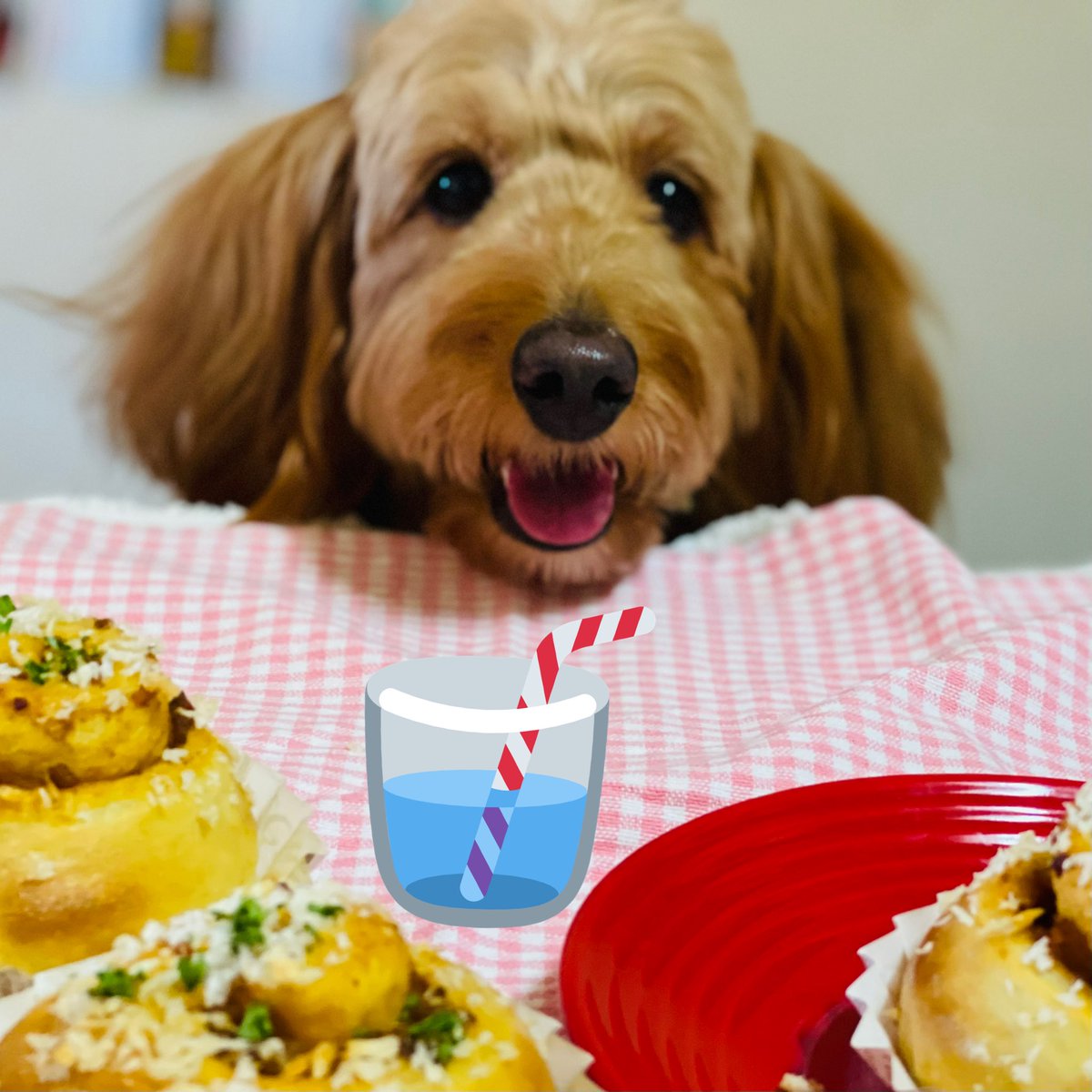 みんなの ダックス カレーパン 口コミ 評判 食べたいランチ 夜ごはんがきっと見つかる ナウティスイーツ