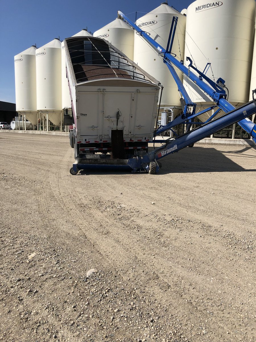 Brett_taks's tweet image. Black gold the new white gold? #blackgold