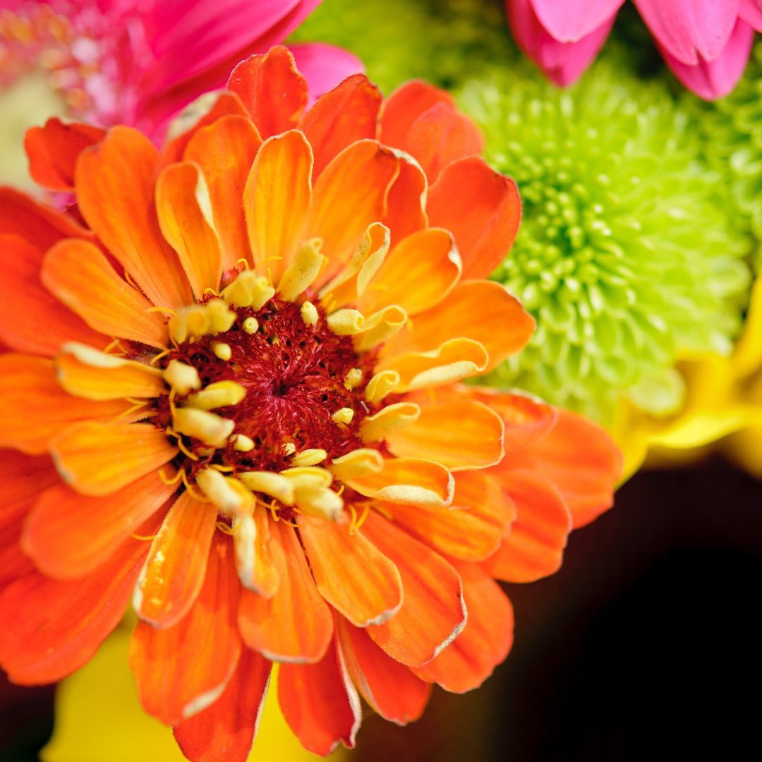 Let’s do this NSW!
Finish the year with bang!
#springmarket #nsw #nswlockdown #goodvibes