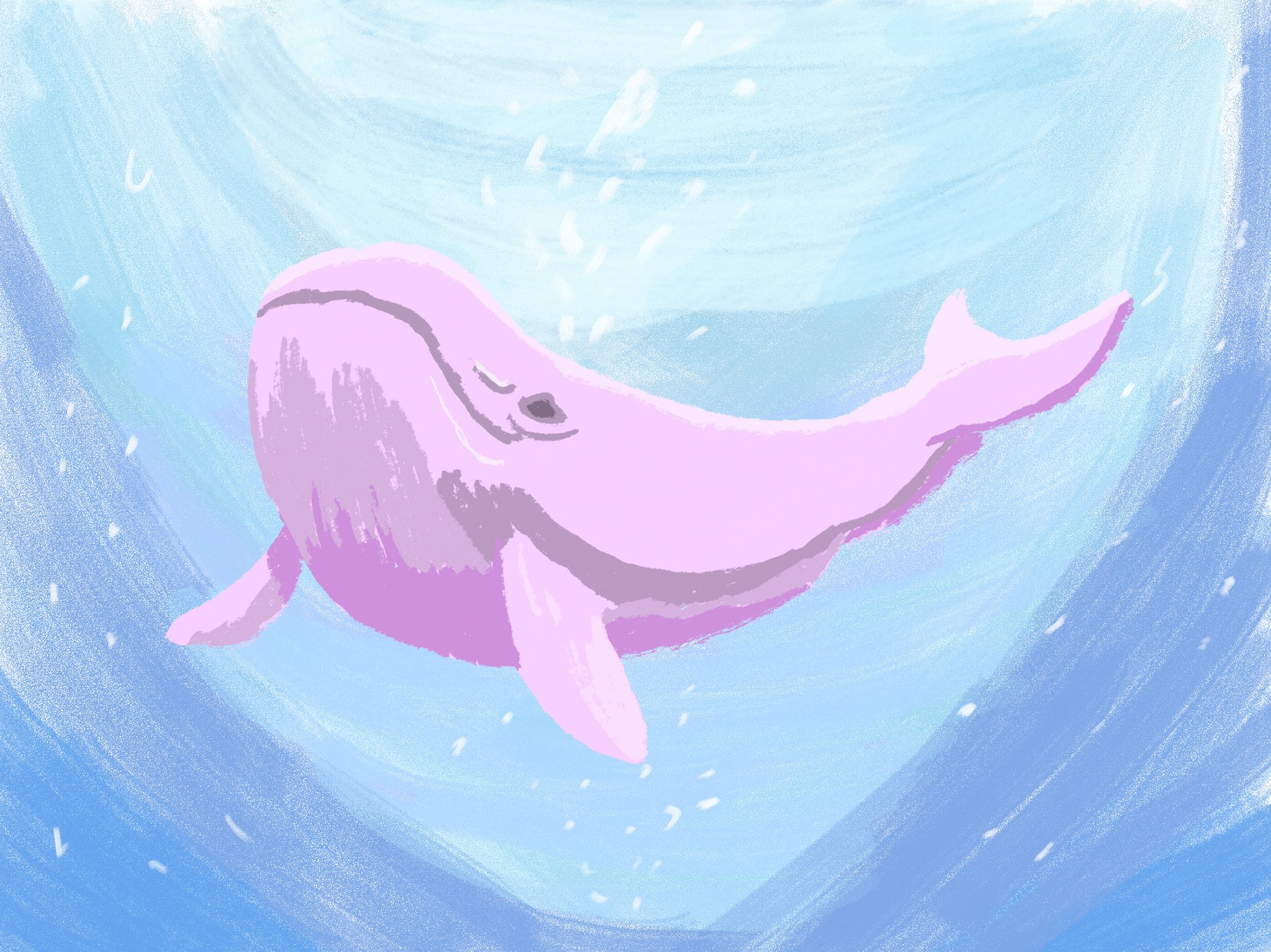 Aki イラストレーター ピンクのクジラ イラスト イラストレーター Illustration Illust 動物 絵柄が好みって人にフォローされたい みんなで楽しむtwitter展覧会 T Co Vpobrijnws Twitter
