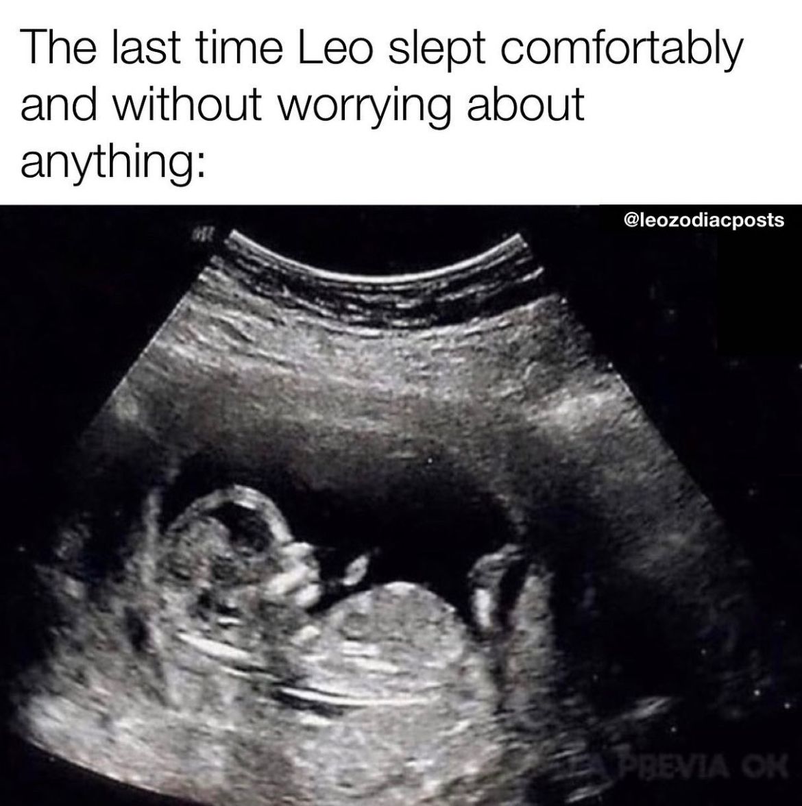 Leo_Tweets's tweet image. #Leo facts 👏🏼