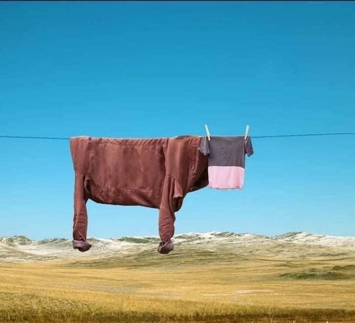 TheRandom_Memes's tweet image. Así de falso es el ganado que me inventan.