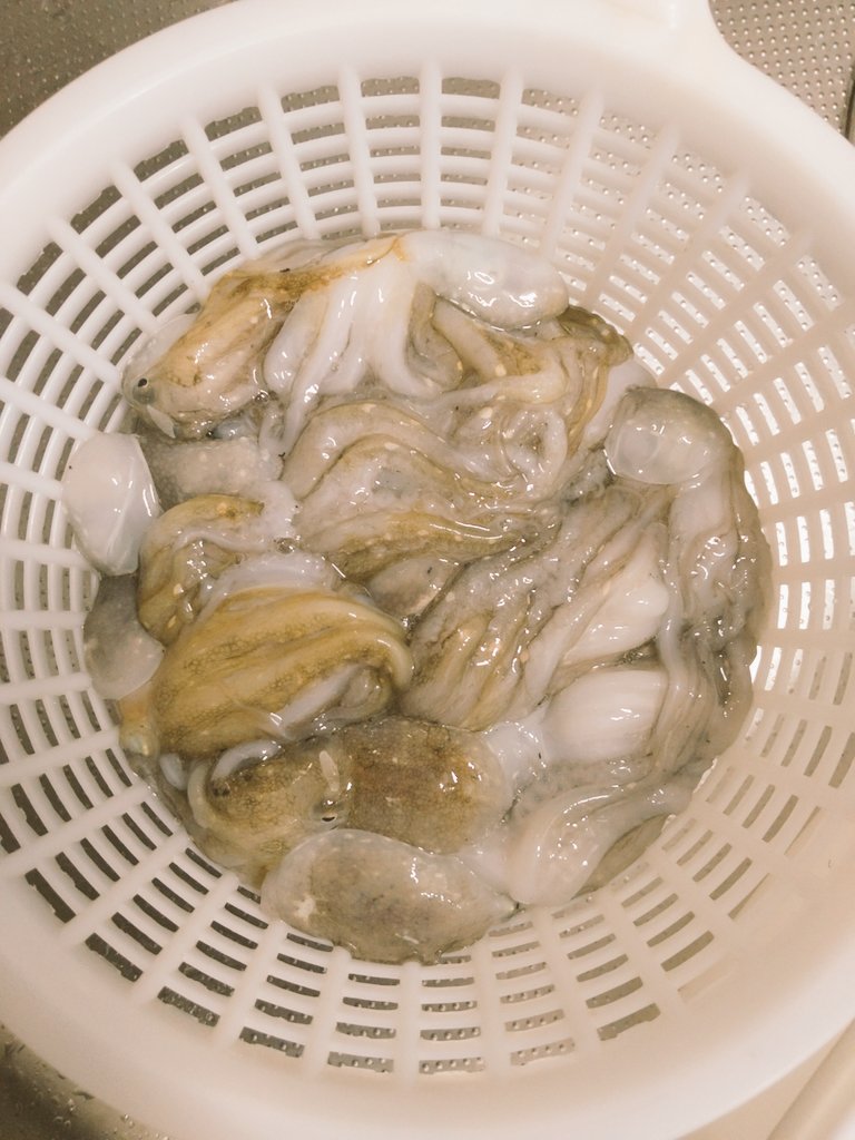 tsuri0341's tweet photo. めちゃめちゃ久しぶりに釣り行けた。家族のリクエストでイイダコ。小さめ多いけど30くらい釣れたので楽しめましたー！ https://t.co/EHWBVHmu37