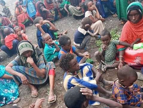 qusbamaqar's tweet photo. The use of #Childsoldiers and the mass murder of 107 #Afar kids by #TPLF terrorists was not an issue to the #US politicians. The innocent lives taken from the #Afghan family is not an issue to the #Biden administration. @POTUS @SecBlinken @KarenBassTweets #AtrocitiesByTPLF https://t.co/vfMstoJwtm
