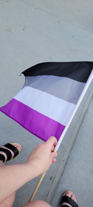Celebrate Pride a bit late yesterday, but had so much fun. Got my first demi flag... I might have cried<a href="/tag/demisexual"class="tags"><span>#demisexual</span></a>