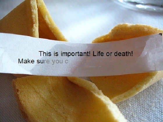 fairytalejedi's tweet photo. #INeedAccess to the wisdom of Confucius.
Well shit. https://t.co/P6UdL7XlrQ