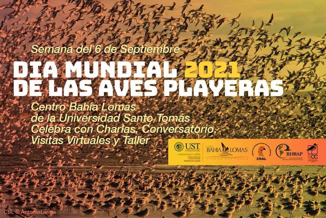 ADEFAS2001's tweet image. Estimadas/os les dejamos la invitación al conversatorio “Yo estuve ahí: Santuario de la Naturaleza Bahía Lomas, Tierra del Fuego, Chile”
Miércoles 8 de septiembre a las 17:30 h

Link:  teams.microsoft.com/dl/launcher/la…