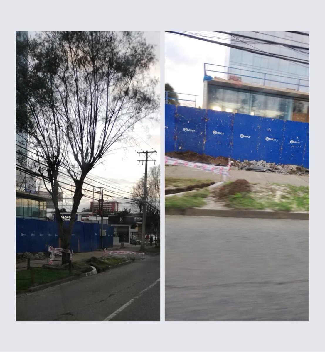 ✅🌿🌳Constructoria Minck en Hochstetter/Ohiggins lapidó este arbol. Municipio mañana asiste a fiscalizar y cursar multas. Hasta cuando siguen estos depredadores!  Todo el poder a futura ordenanza de arbolado urbano! <a href="/amoarbolurbano/">Árbol Urbano</a> <a href="/RedArbolUrbano/">redarbolurbano</a> <a href="/cifag_araucania/">CIFAG Araucanía</a> @rogutierz