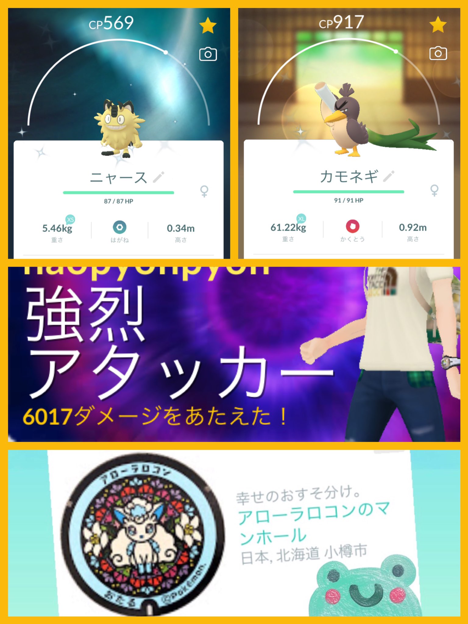 なおぴょん ポケgo Naopyonpyon2 Twitter