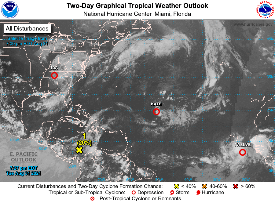 AlertaGt502's tweet photo. Actualización
18hrs
31/08
El CNH aumenta a 20% la prob de desarrollo de Baja Presión en 2 días y asignan área de Investigación #Invest91L 

La 1ª previsión de trayectoria lo lleva al norte de Honduras, puede cambiar debido a la interacción con tierra 📄✍️
#ClimaGt #TemporalGt https://t.co/alzxQfDfTL