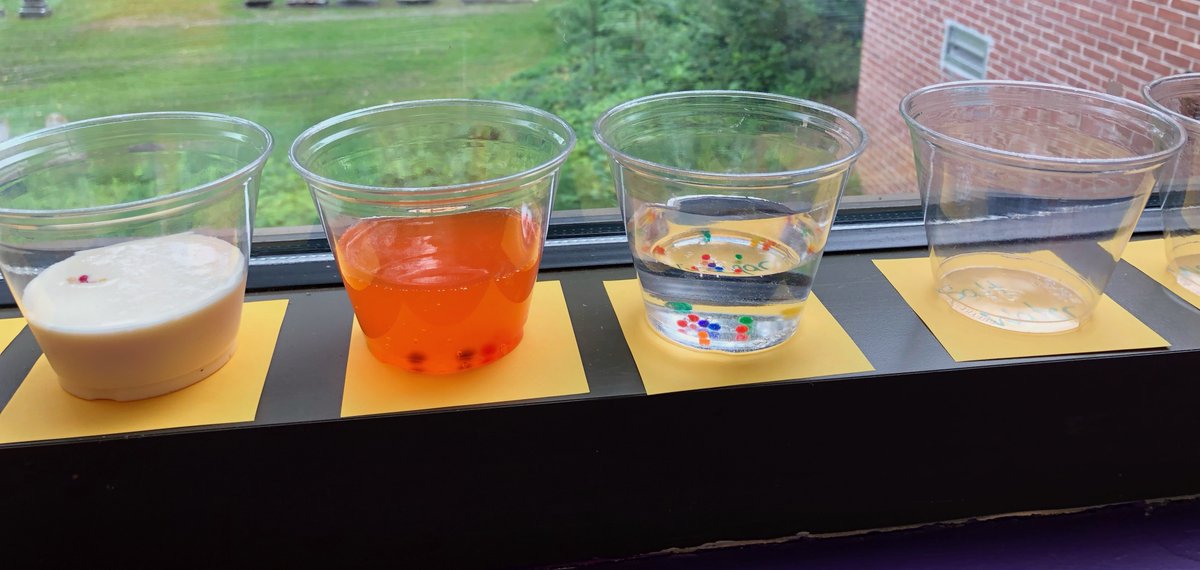 ShermanSchoolCT's tweet photo. Our 5th graders had a "ball" experimenting with Orbeez during STEAM today! Which made the orbeez grow faster: milk, orange juice, or vinegar? 👀 #orbeez #steamclassroom #theshermanschool https://t.co/SIB0o0p5IN