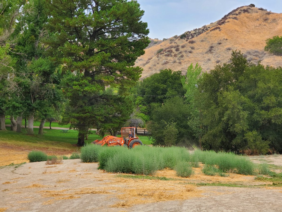 Green tumbleweeds, tractor in background surrounded by tall trees and mountains