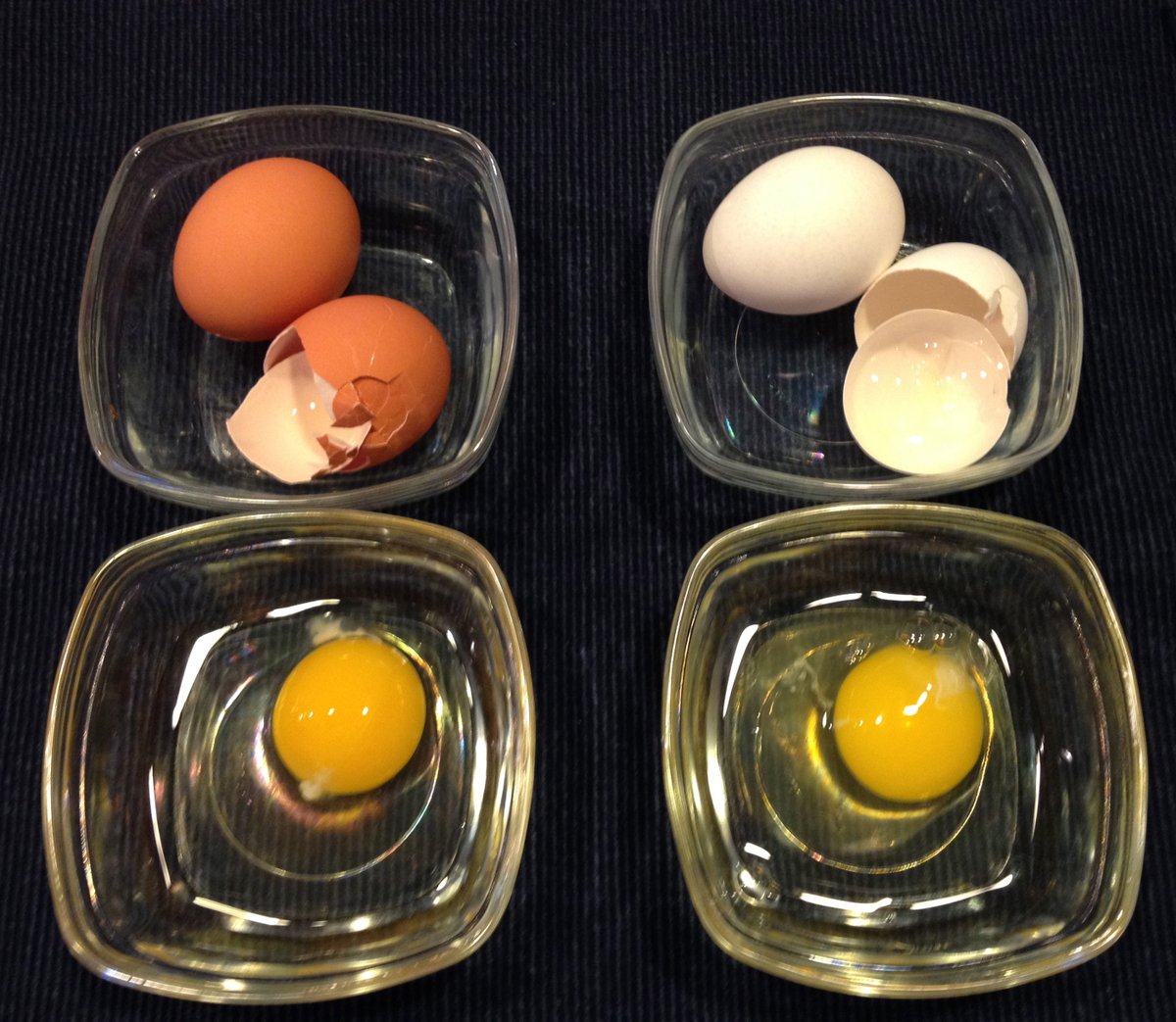 Пропадает яичко. Яйцо куриное. Коричневое яйцо. Вареные яйца. Желток яйца.