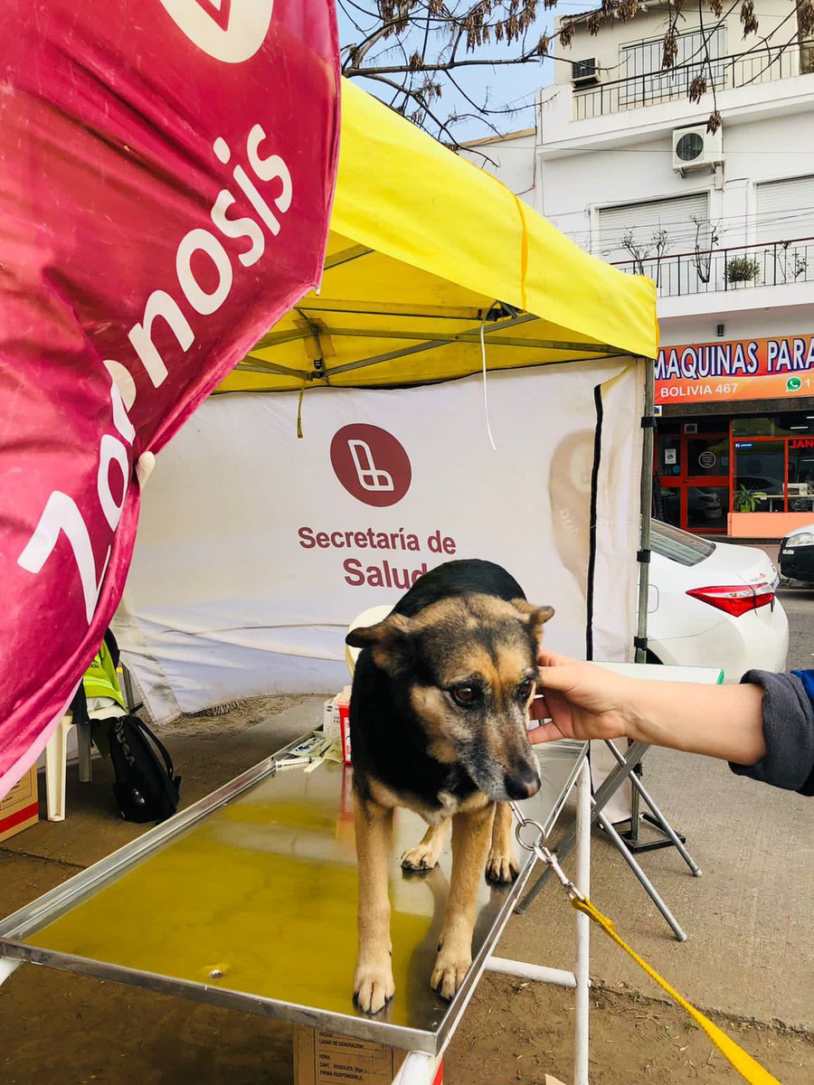 drgustavosieli's tweet photo. Y en el marco de nuestra estrategia sanitaria, estuvimos en Plaza San Pedro Armengol en un nuevo Operativo Integral de Salud
#LoHacemosJuntos https://t.co/ccv0j5qoLt