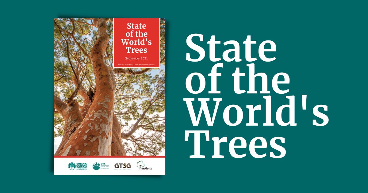 bgci's tweet image. BGCI launches the State of the World&apos;s Trees report today! 

Read more: mailchi.mp/bgci/stateoftr… #StateOfTrees #RightTreeRightPlace #WeNeedTrees #ForNature