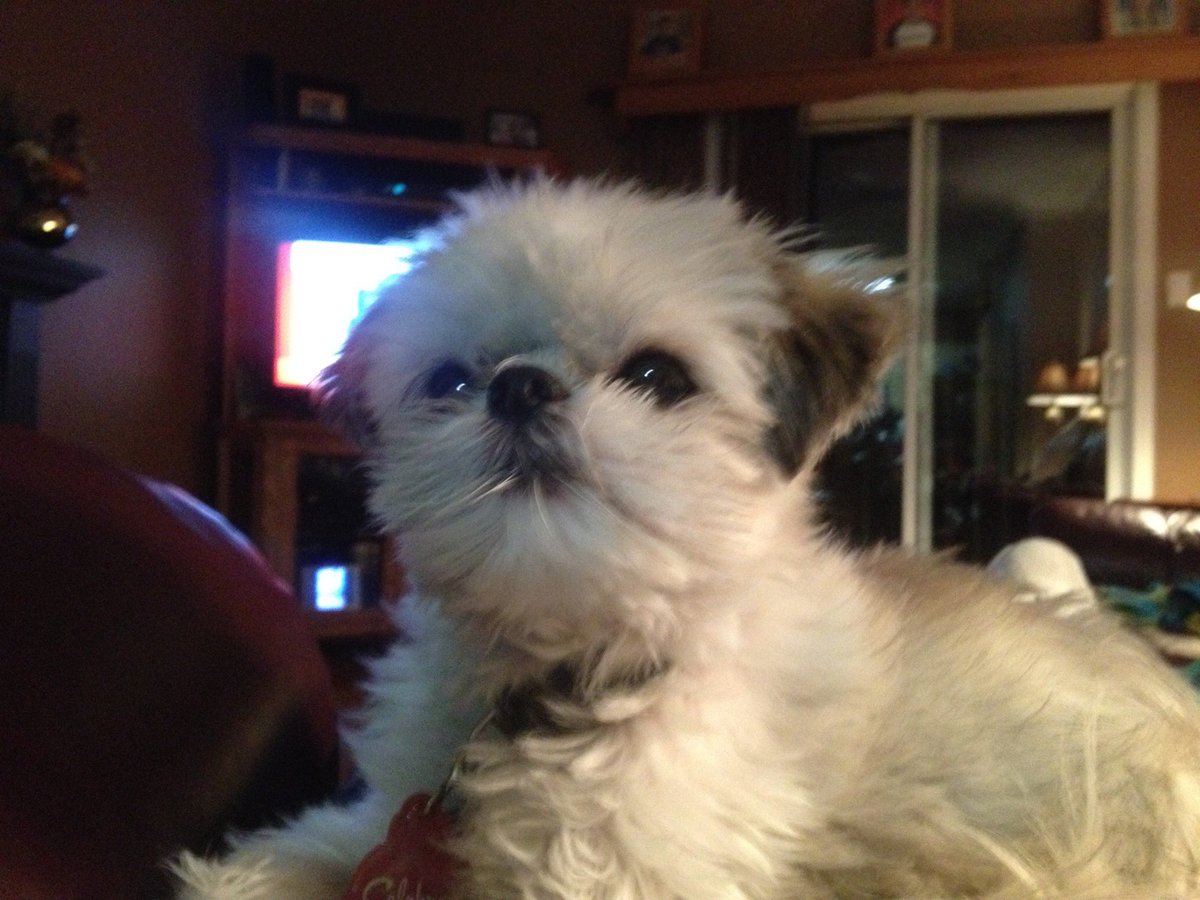 Pierre Belanger tweet media