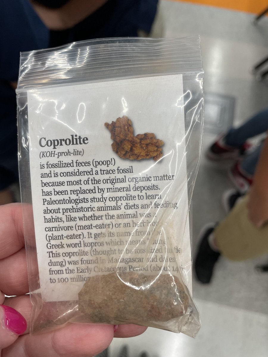 mrsishamscience's tweet photo. We were exploring rocks and fossils using science tools and found this. Students wanted no part of fossilized poop! #tatescience https://t.co/JVIKORpr1r