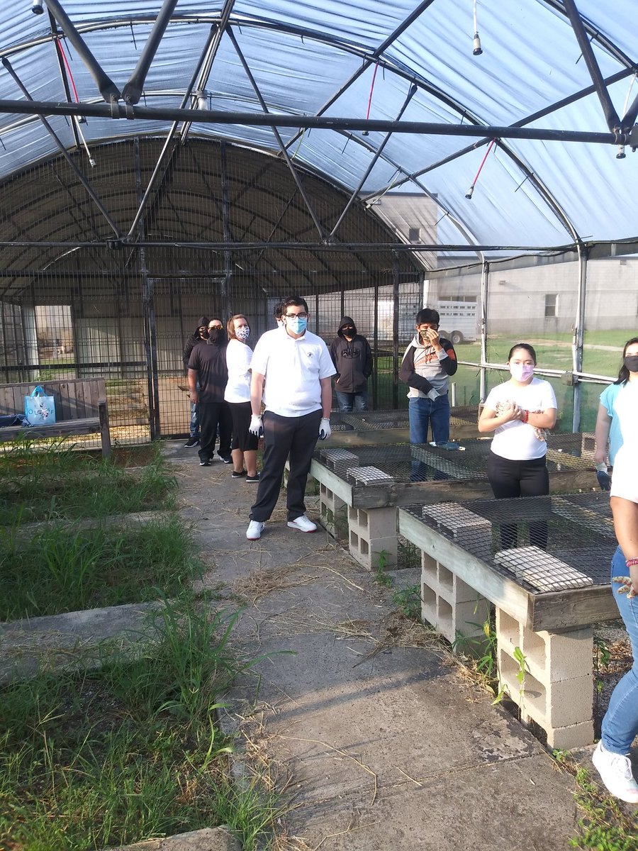 RHHS_Champs's tweet photo. RHHS Heritage Garden...day 1 of fall planting starts with clean up.#WeAreBobcatNation @ACardenas001 @Asael_Ruvalcaba @RHHS_Bobcats https://t.co/BfAr9v6vjA
