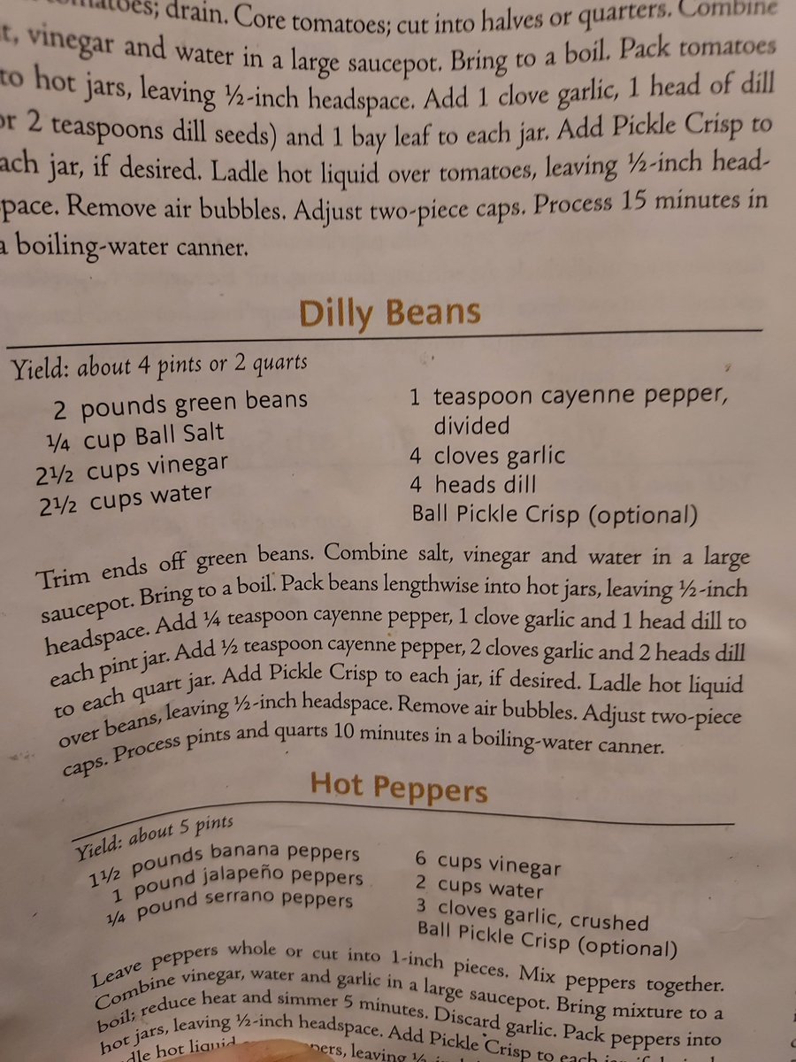 GrowingShield's tweet photo. @onlynow15 Hot water bath pickles.. I use a dilly bean recipe we like best ⬇️
(Ball blue book of canning book is my favorite go to.) https://t.co/9G14v3XxWd
