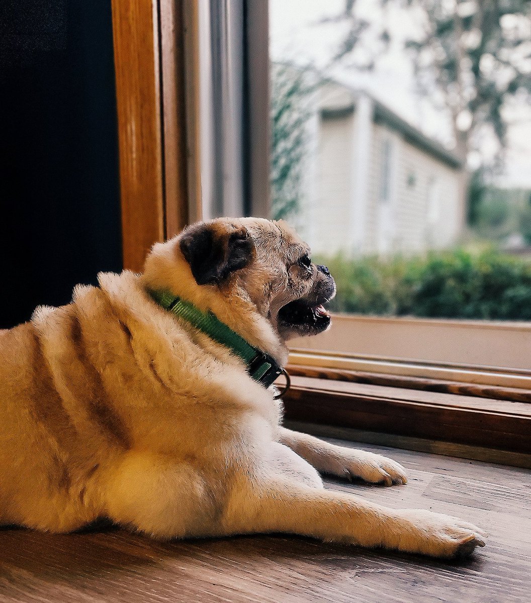 Jokerscuckoo's tweet photo. My boy Mac, so fresh and so clean-clean.

#OneEyedMac https://t.co/sNOeeD4LaU