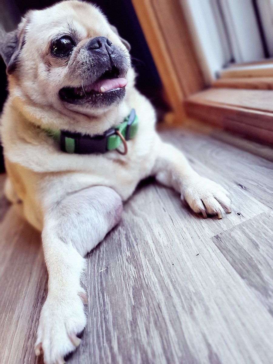 Jokerscuckoo's tweet photo. My boy Mac, so fresh and so clean-clean.

#OneEyedMac https://t.co/sNOeeD4LaU