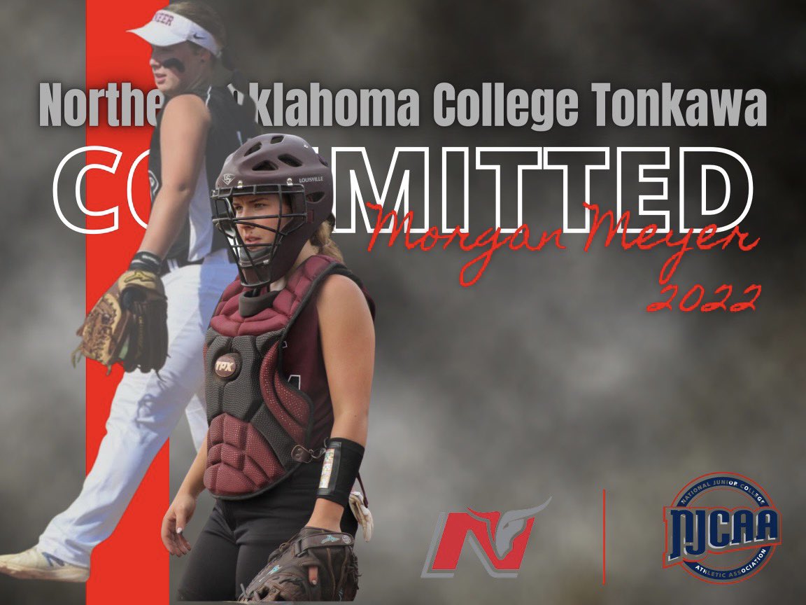 NOC Tonk Softball tweet media
