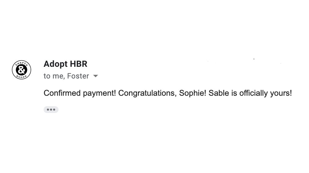 Sophie Vershbow tweet media