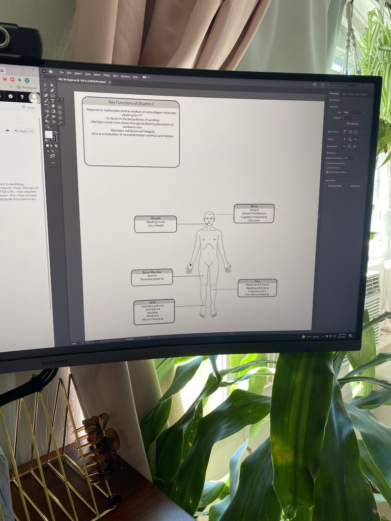 Cayla Pichan, MD tweet media