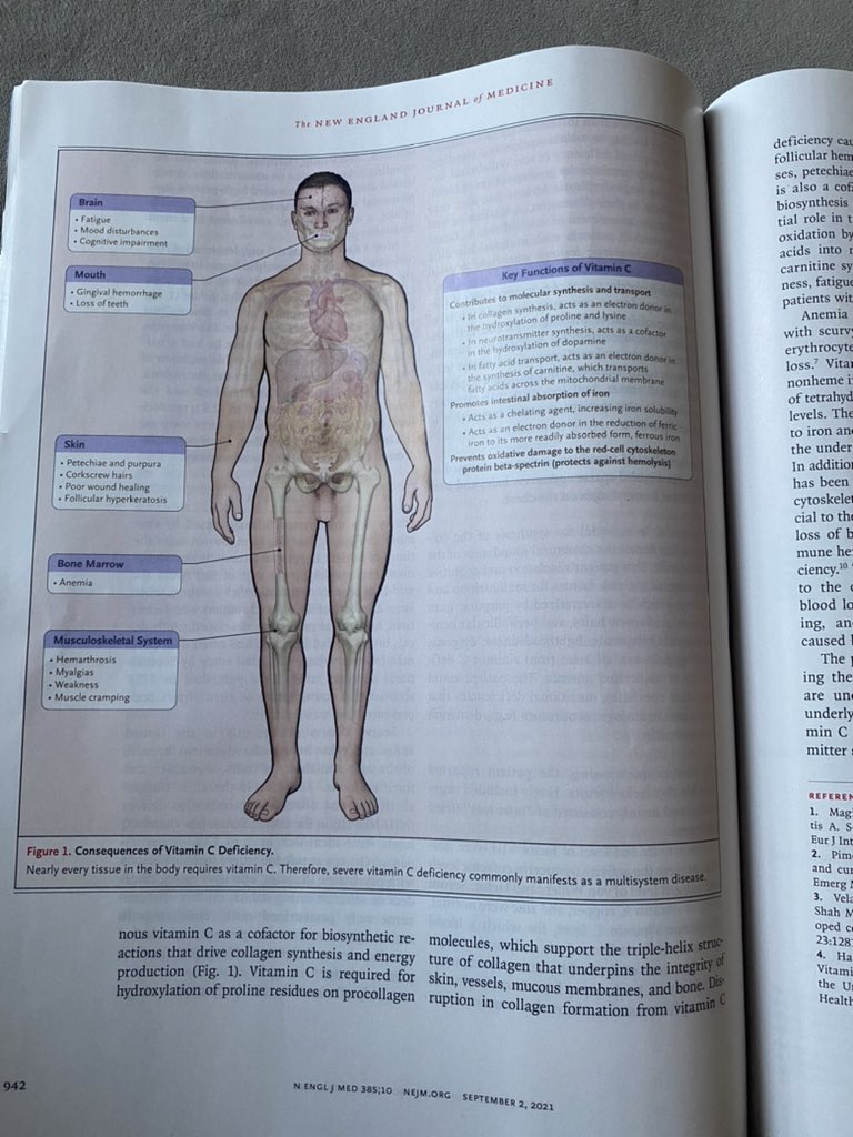 Cayla Pichan, MD tweet media