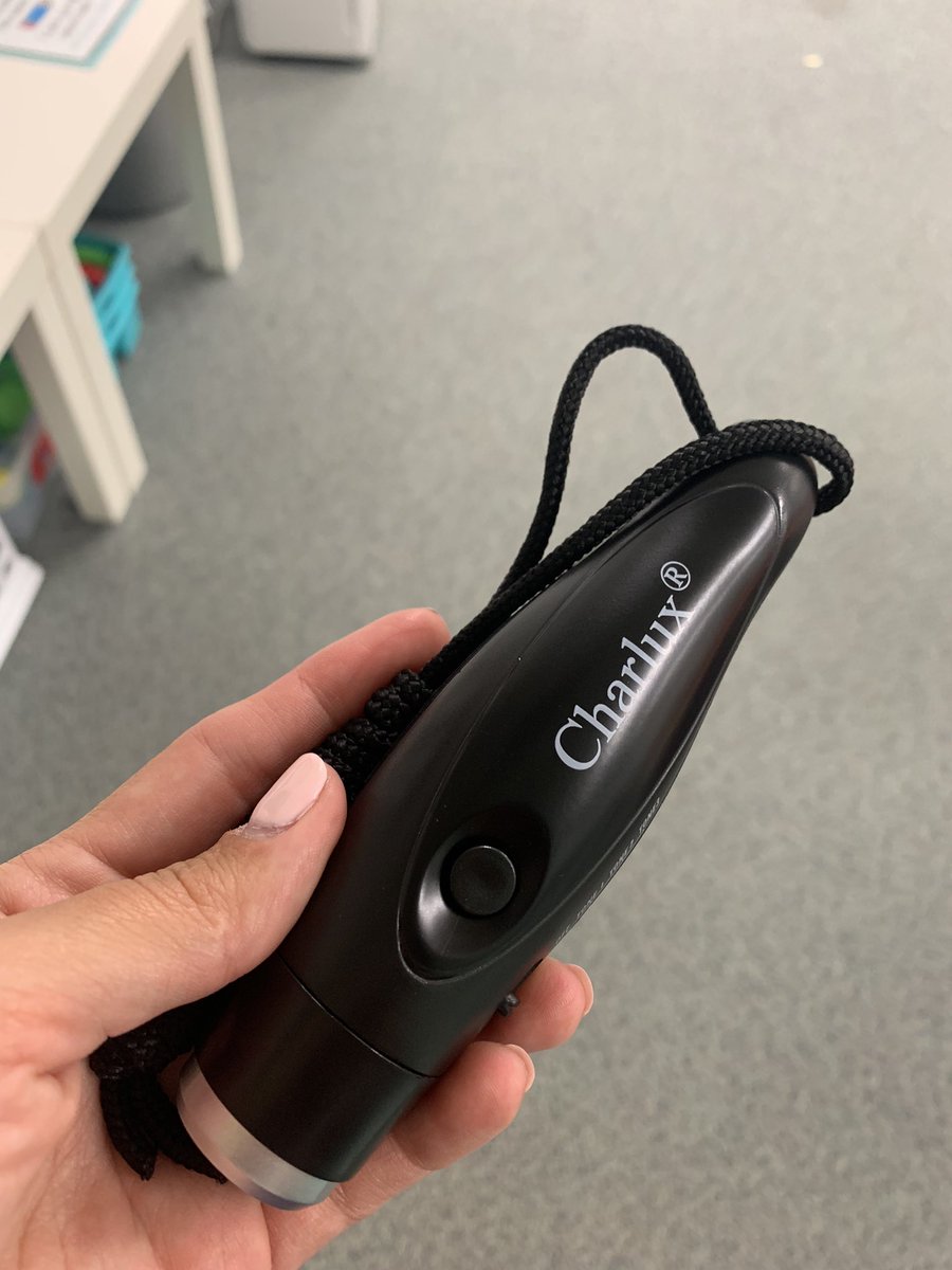 _MrsTsFirsties's tweet photo. If you take your kids outside for recess, invest in an electronic whistle! #voicesaver $10 on Amazon! https://t.co/nv9fFvzavU