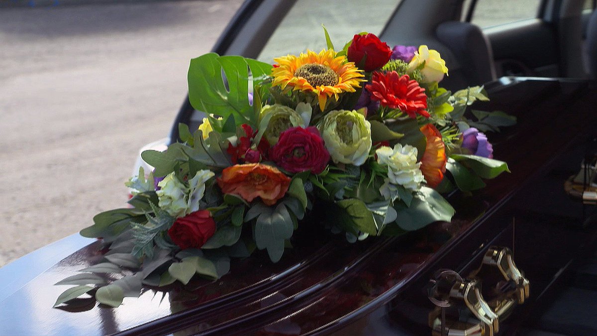 1 Newsverified Account