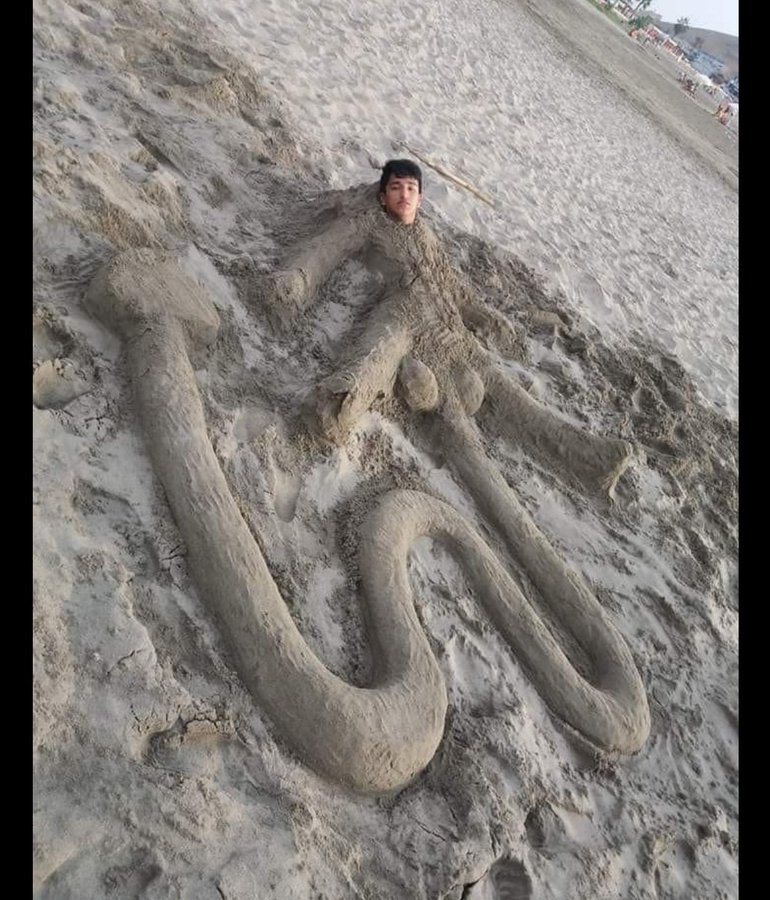 Sebitamarrero tweet media