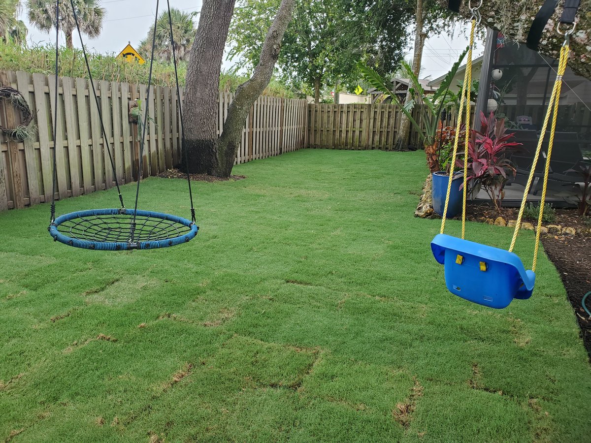 Capt_EA's tweet photo. Celebration bermuda install. Pics are 5 days apart. Yard Mastery starter fert used day after install and watering twice a day. Coming in nicely. @BigEarthSupply @SodSolutions @yardmastery https://t.co/0MsD43pGIS