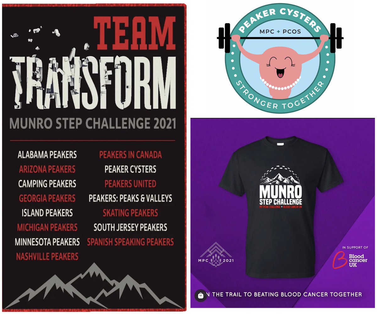 PeakerCysters's tweet photo. #MyPeakChallenge #MunroStepChallenge starts TOMORROW! Join us as we virtually hike amazing trails from around the globe to raise funds &amp; awareness for @bloodcancer_uk 

Team Transform is ready to hit the trails! Are you?

Get your limited-edition T-shirt from @MyPeakChallenge https://t.co/LPpELdUndf
