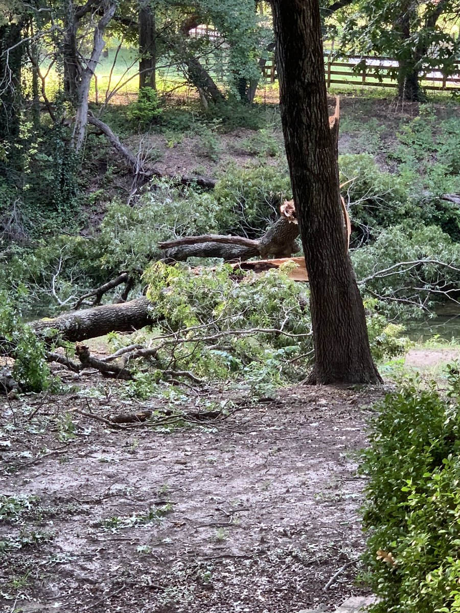 DillELAR_Prep's tweet photo. The tree spilt. Half of it is in my yard and the other is in the creek that runs in front of our home. The creek is city property and they are to remove it. It’s been 3 emails over 3 weeks and there has been no response.@CedarHillMayor @CedarHillTX https://t.co/D8iGmieBUi