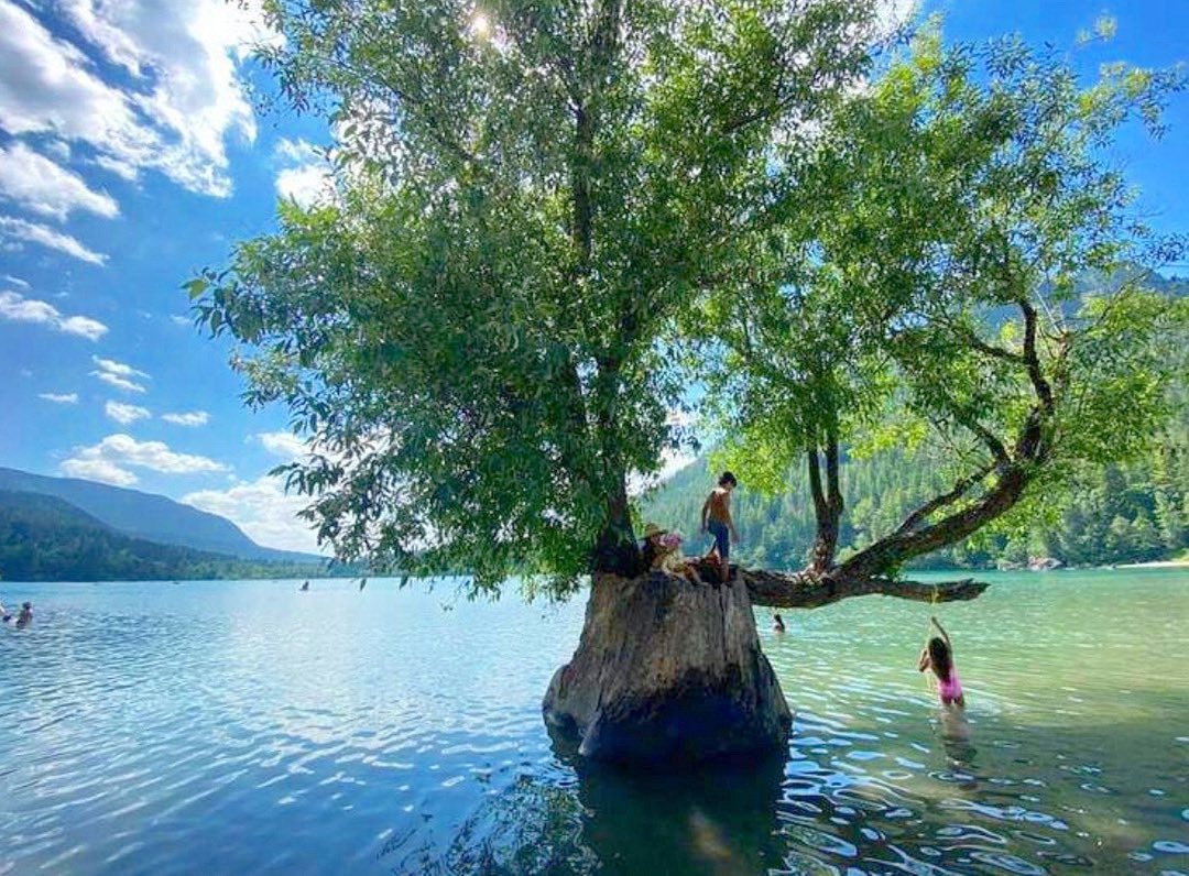 Earthing tweet media