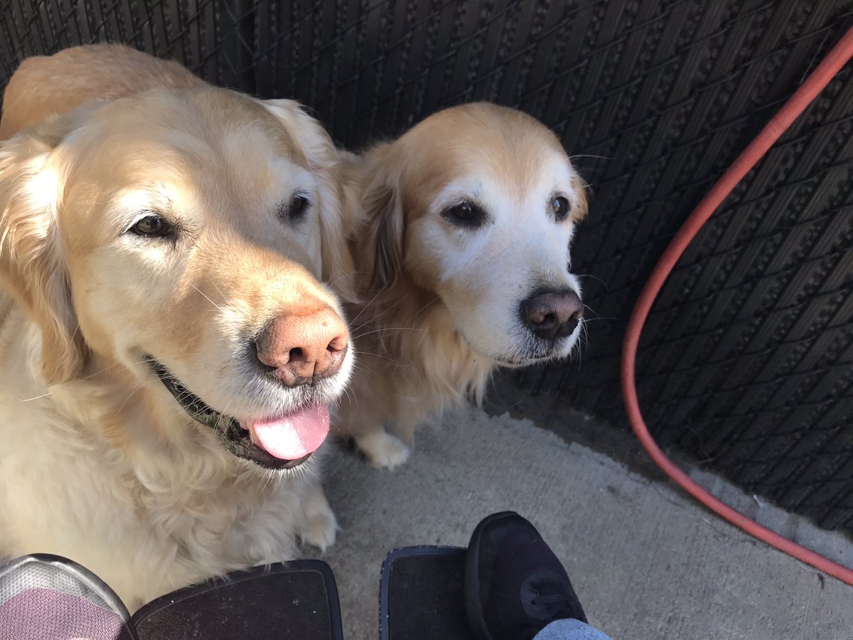 TheNatsPups's tweet photo. Please tell the #douchbags behind us to be quiet. Reciting stats about bud seltzer isn’t interesting. https://t.co/ygtK0yUAxj