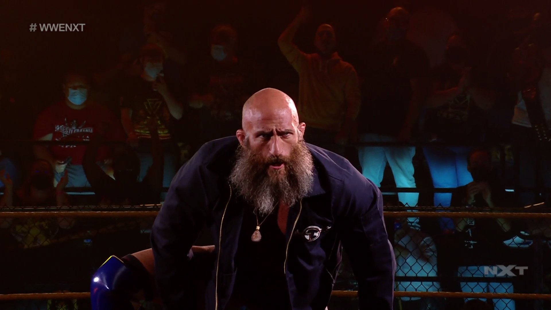 wwe nxt 