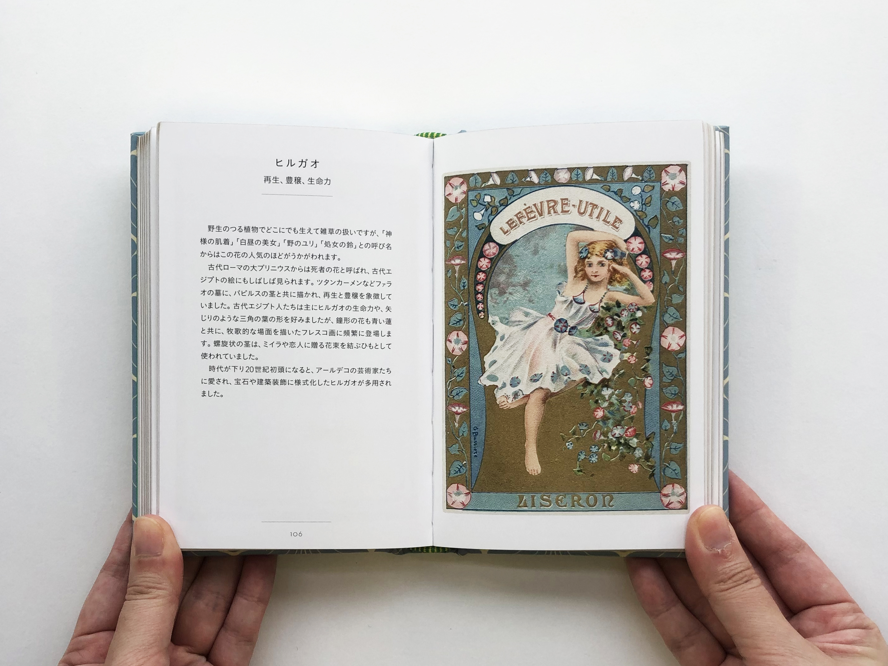 60周年 グラフィック社 編集部 ちいさな手のひら事典 花言葉 A6変形版 176頁 1 650円 税込 Isbn 978 9月8日頃から順次発売開始 ふかふかの表紙 小口の金がかわいいスペシャルな製本です T Co Wgizvfm5sq T Co