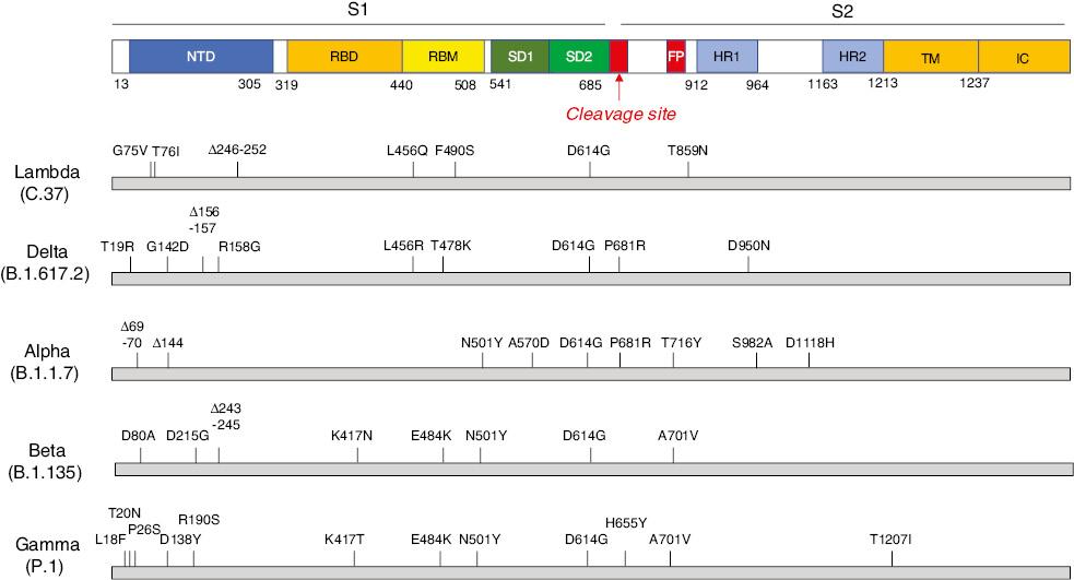 XueHaibao's tweet image. &apos;#SARS_CoV_2  #LambdaVariant: Spatiotemporal Distribution and Potential Public Health Impact&apos; an article on #ScienceOpen: scienceopen.com/document?vid=0…