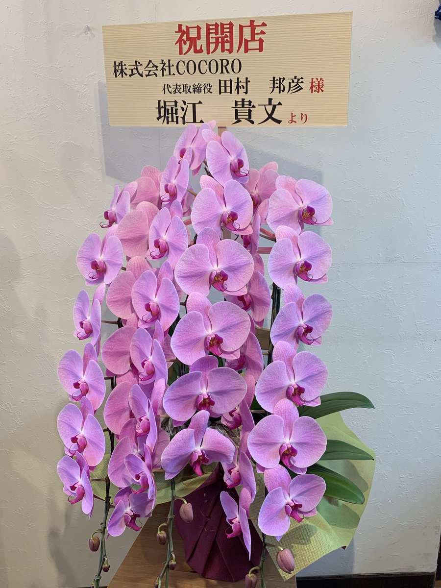 Hiuメンバーで運営 高級胡蝶蘭専門 グリーンベル 花屋 日本橋兜町 Greenbell1999 توییتر Hiuメンバーで運営 高級胡蝶蘭専門 グリーンベル 花屋 日本橋兜町 Greenbell1999 توییتر