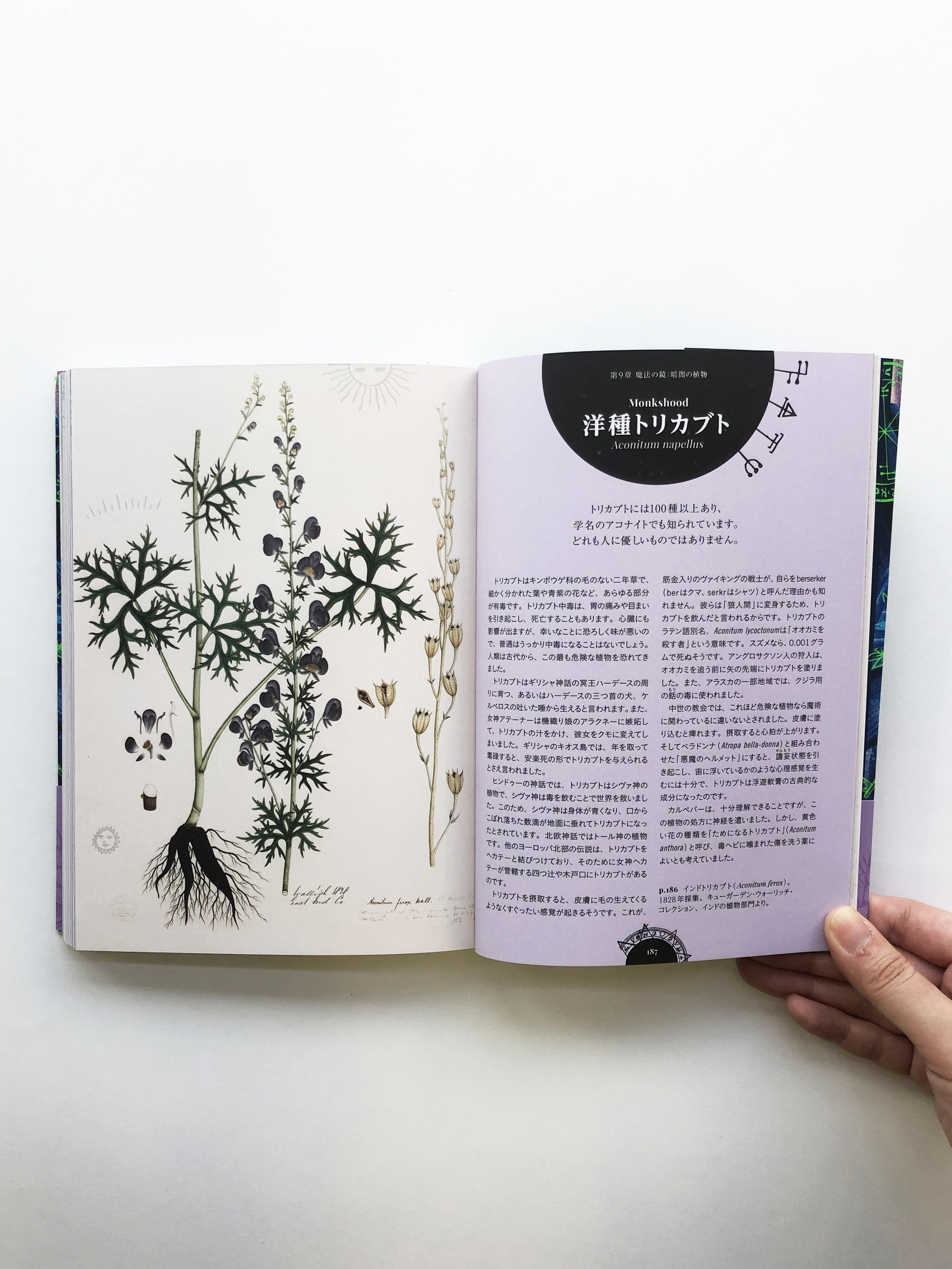 薬草ガーデン講座　テキスト1〜5巻 2025年最新】薬草ガーデン講座の人気アイテム - メルカリ